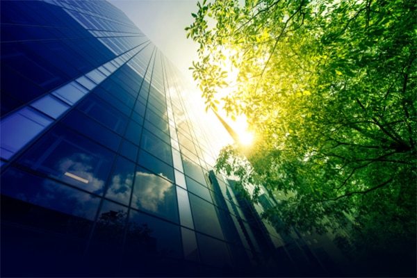 Low-angle view of a building surrounded by greenery